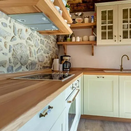 Rustic Lusa Villa